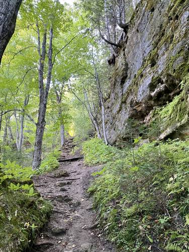 Trail leads up along a large 40-foot rock wall with thousands of holes, likely carved from water over time