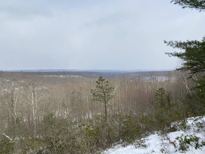 White Birch Vista view