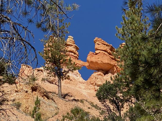 View of Little Windows and Turret Arch (Bryce Canyon)