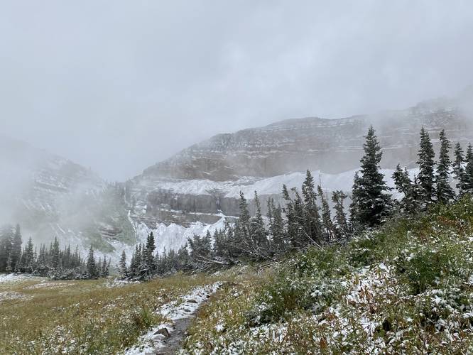 Mt. Timp headwall with evergreens and fresh snow