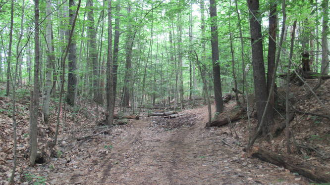 The trail can be muddy in parts and close to homes 