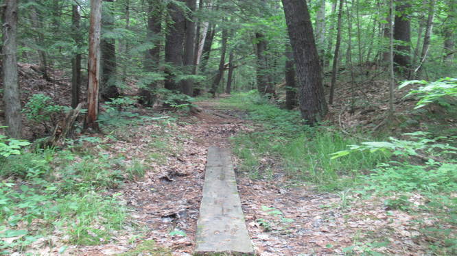 This section of the trail is often muddy. Planks help get across