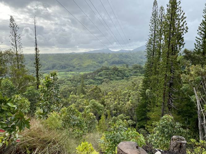 View facing east from powerline vista along Okolehau Trail