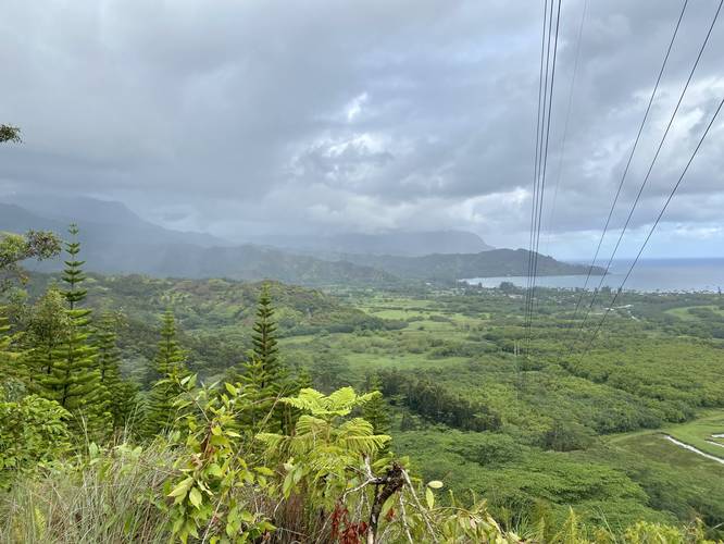  View of Hanalei Bay and surrounding mountains from power line vista along Okolehau Trail