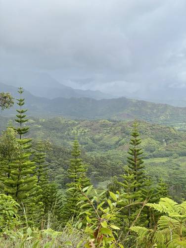  View of mountains in Hanalei, Hawaii from power line vista along Okolehau Trail