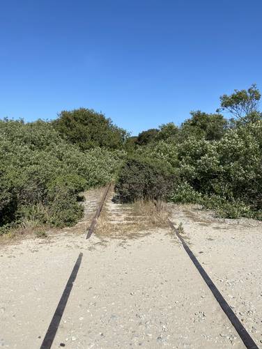 Old railroad tracks