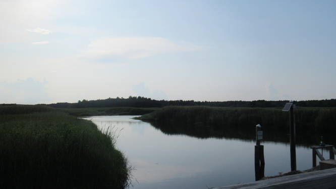 Waterway in the marsh