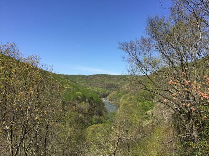 Vista of the Youghiogheny River