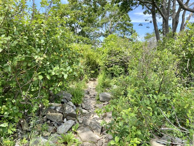 Skinny trail leads through Picnic Point