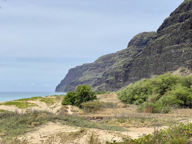 View of sand dunes and southern Na Pali coastal cliffs at Polihale State Park
