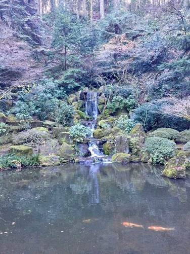 Picture 4 of Portland Japanese Garden