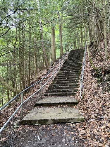 Staircase to Pratt's Falls