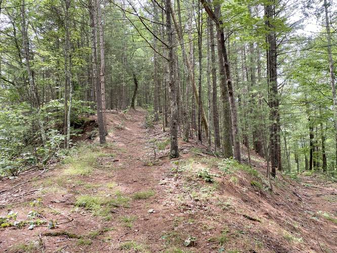 Unofficial switchback trail to Quarry Mountain summit