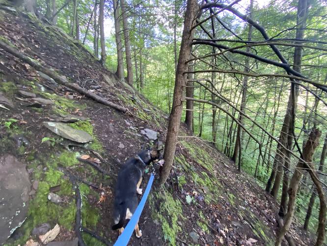 Super steep and sketchy mountain terrain of Red Ledge