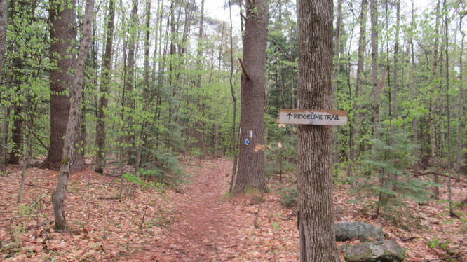 Ridgeline Trail to Bailey Brook Trail and Black Lead Mine Trail