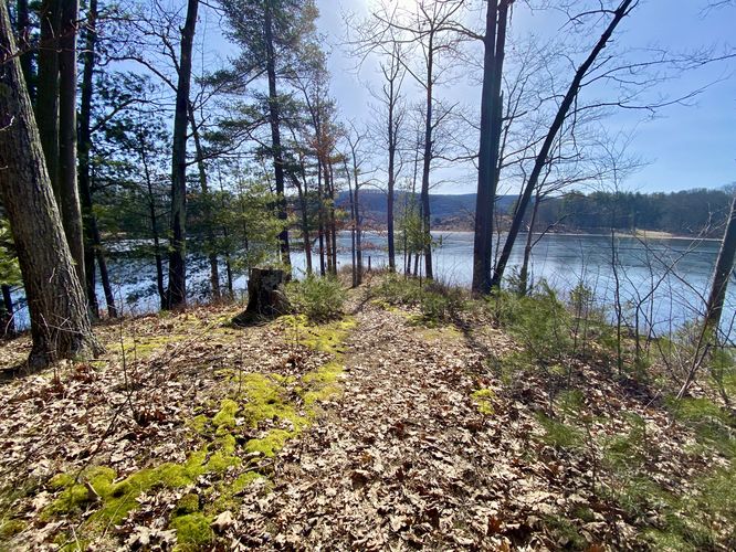 Mossy trail leads to the banks of Sanford Lake