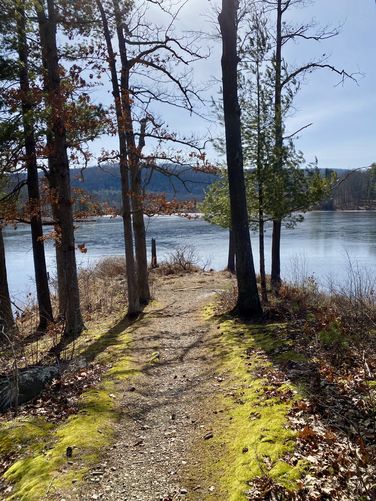 Mossy trail reaches Sanford Lake