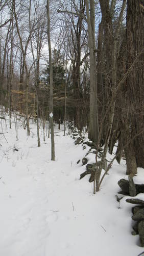 Trail along old stone walls