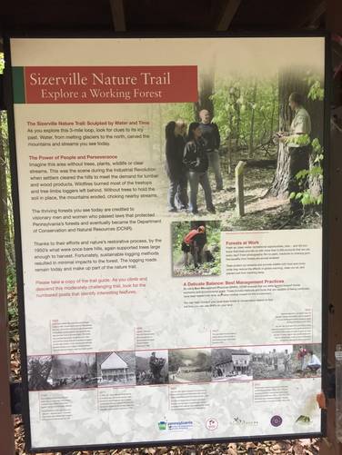 Picture 36 of Sizerville Nature Trail