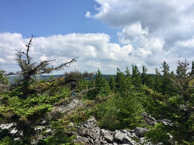 Lookout point north towards Dolly Sods