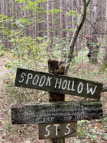 Entering Spook Hollow - beware the spooky creatures
