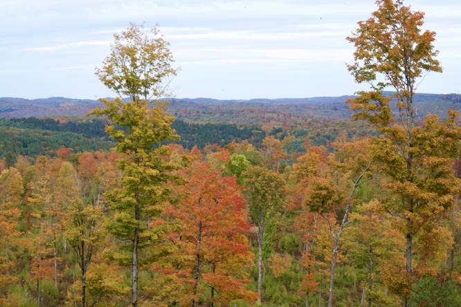 Foliage of Potter County's mountains from the summit of Stony Peak