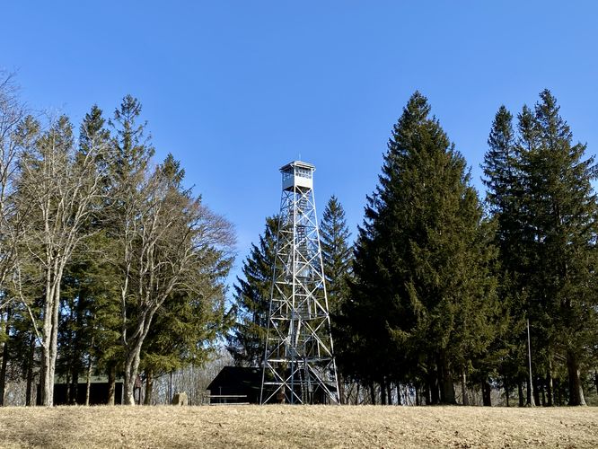 View of the Sugar Hill Fire Tower