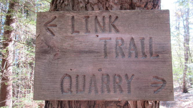 Trail marker on tree