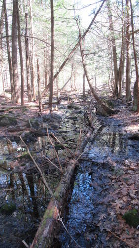 Springtime streams can cause mucky conditions