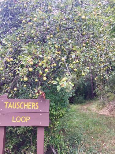 Tauschers Loop Trail trailhead