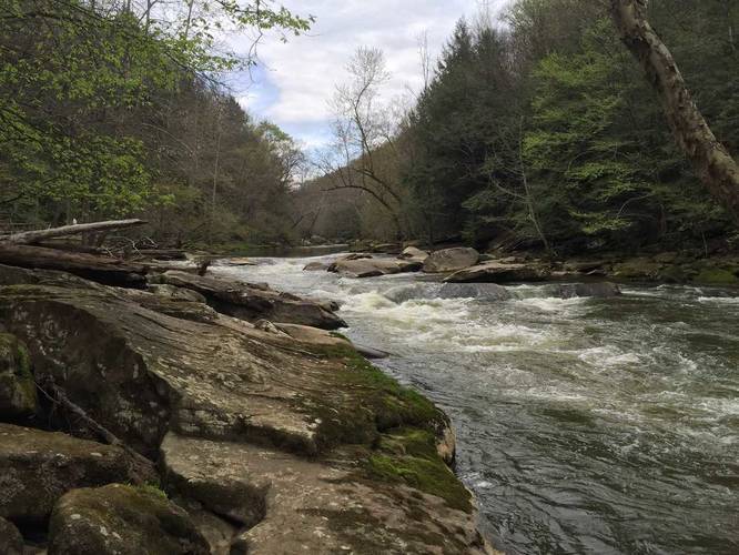 Slippery Rock Gorge Trail