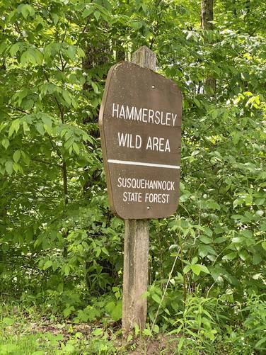 Hammersley Wild Area sign