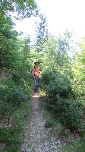 The Walker Trail starts to the left of the Incline Trail