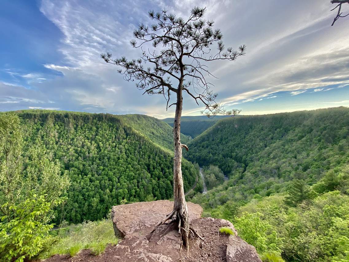 Pennsylvania's Grand Canyon - Explore Pennsylvania's Grand Canyon, officially named Pine Creek Gorge, including hiking trails, vistas, overlooks, waterfalls, backcountry campsites, backpacking trails.