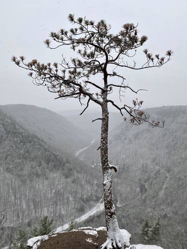 West Rim Trail - WRT Lone Pine first snowfall 2020 album